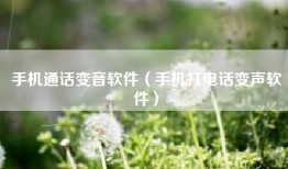 手机通话变音软件（手机打电话变声软件）