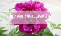 a手机应用（手机app应用大全）