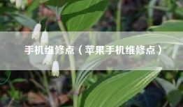 手机维修点（苹果手机维修点）