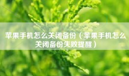 苹果手机怎么关闭备份（苹果手机怎么关闭备份失败提醒）