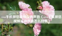 vivo手机微信视频没有声音（vivo手机微信视频没有声音怎么回事）