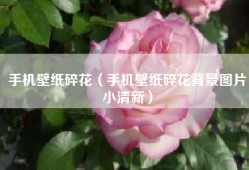 手机壁纸碎花（手机壁纸碎花背景图片小清新）