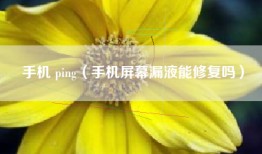 手机 ping（手机屏幕漏液能修复吗）