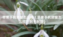 苹果手机质量怎么样（苹果手机质量怎么样？耐不耐用）