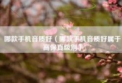 哪款手机音质好（哪款手机音质好属于高保真级别）