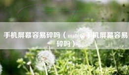 手机屏幕容易碎吗（mate60手机屏幕容易碎吗）