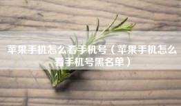 苹果手机怎么看手机号（苹果手机怎么看手机号黑名单）