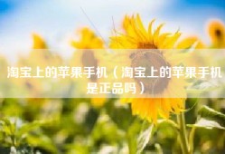 淘宝上的苹果手机（淘宝上的苹果手机是正品吗）