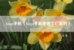 bingo手机（bingo手机是哪个厂家的）