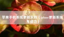 苹果手机系统更新失败（iphone更新系统不成功）