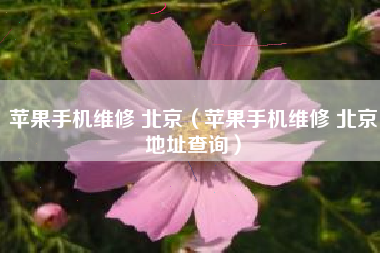 苹果手机维修 北京（苹果手机维修 北京地址查询）